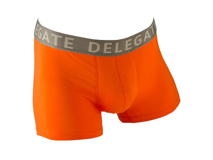 Orange Boxer | Delegate Underwear