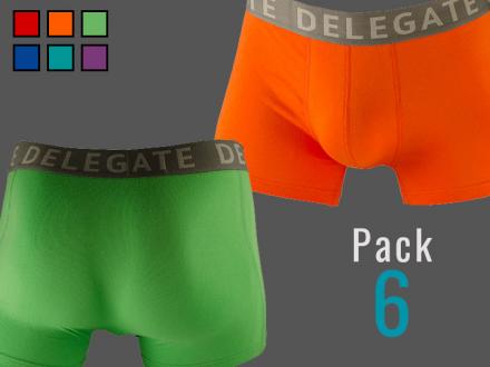 6 Pack - Colorful
